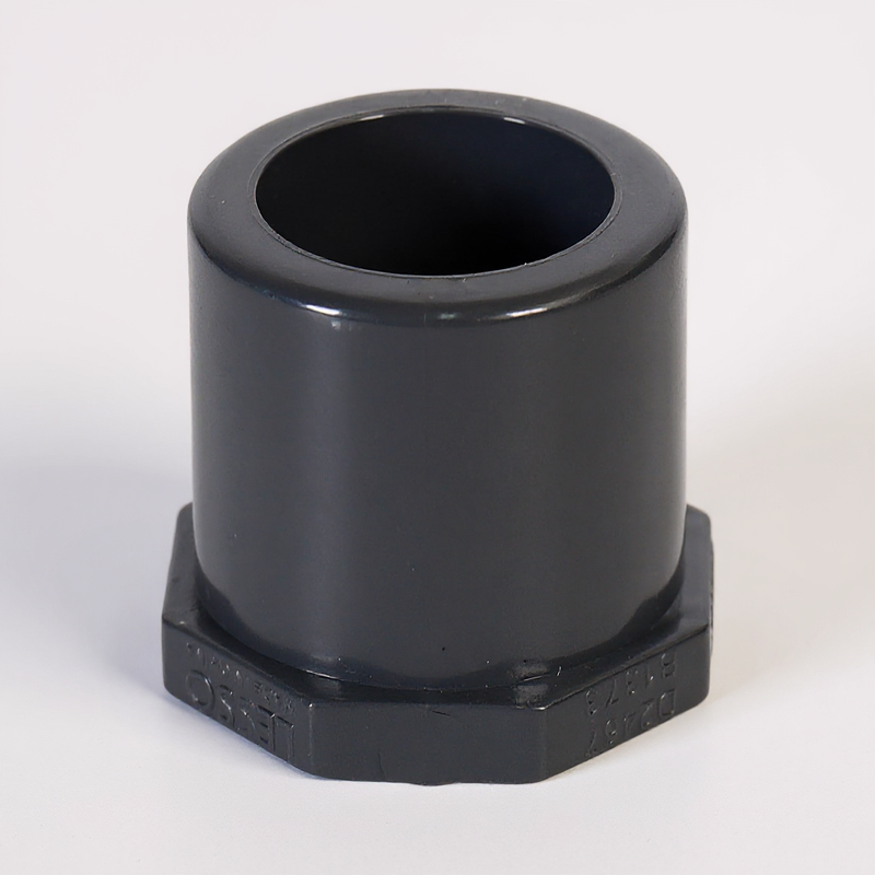 Sch80 PLUG (SPIG)