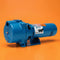 Goulds GT07 IRRI-GATOR Self Priming Centrifugal Pump (3/4 HP, Single Phase)