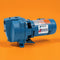 Goulds J10S Self-Priming Shallow Well Jet Pump (1 HP, Cast Iron, Dual Voltage 115/230V)