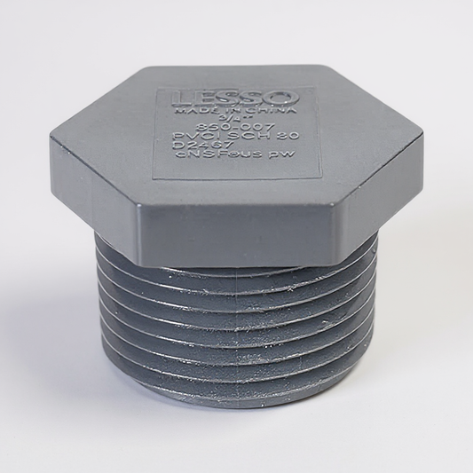 Sch80 PLUG (MIPT)