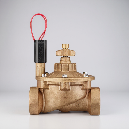 Hunter Globe Valve IBV Brass 2 in. w/ Flow Control and Filter Sentry FIPT x FIPT